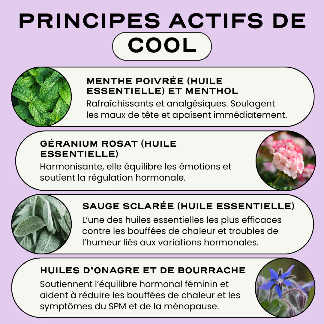 Image du produit 13